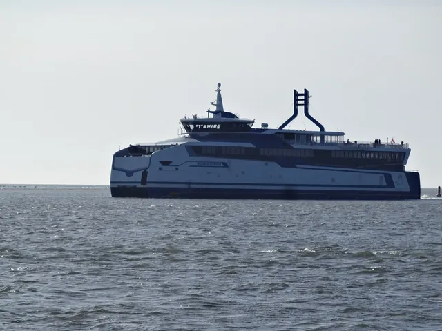 WILLEM DE VLAMINGH