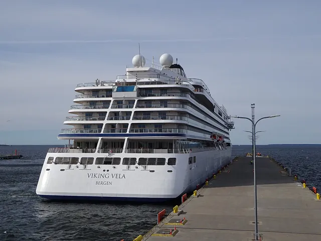 Viking Vela