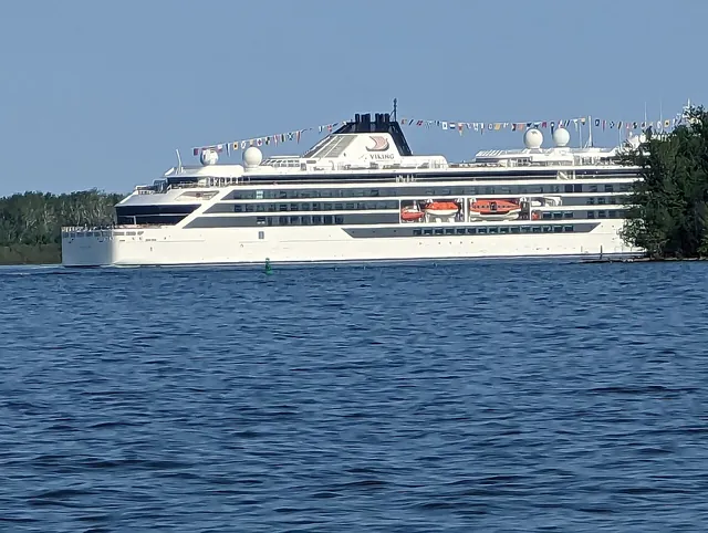 Viking Polaris