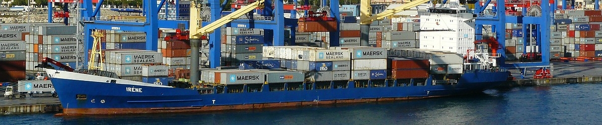 Containerschiff liegt im Hafen und wird gelöscht - Irene
