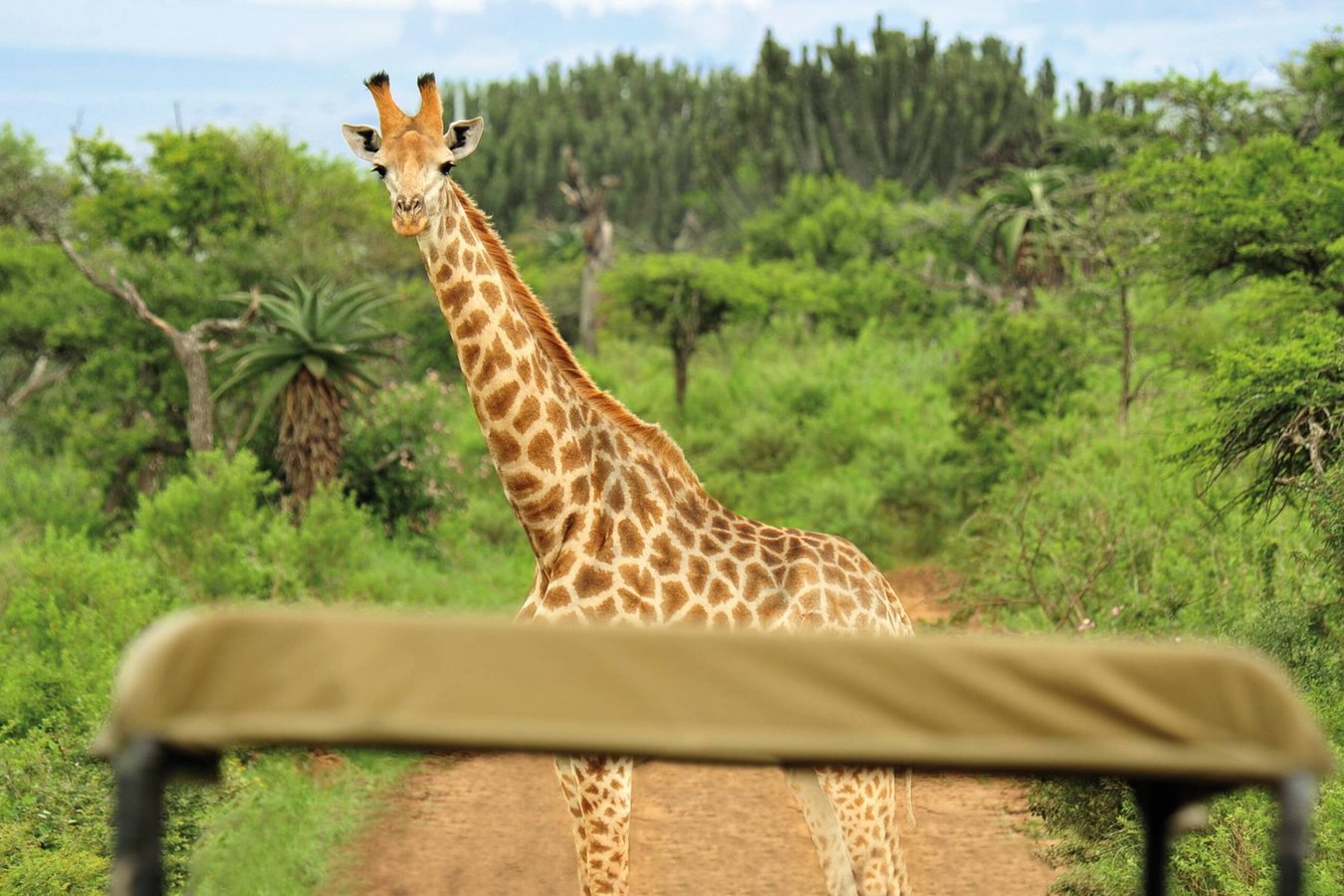 Abenteuer Südafrika