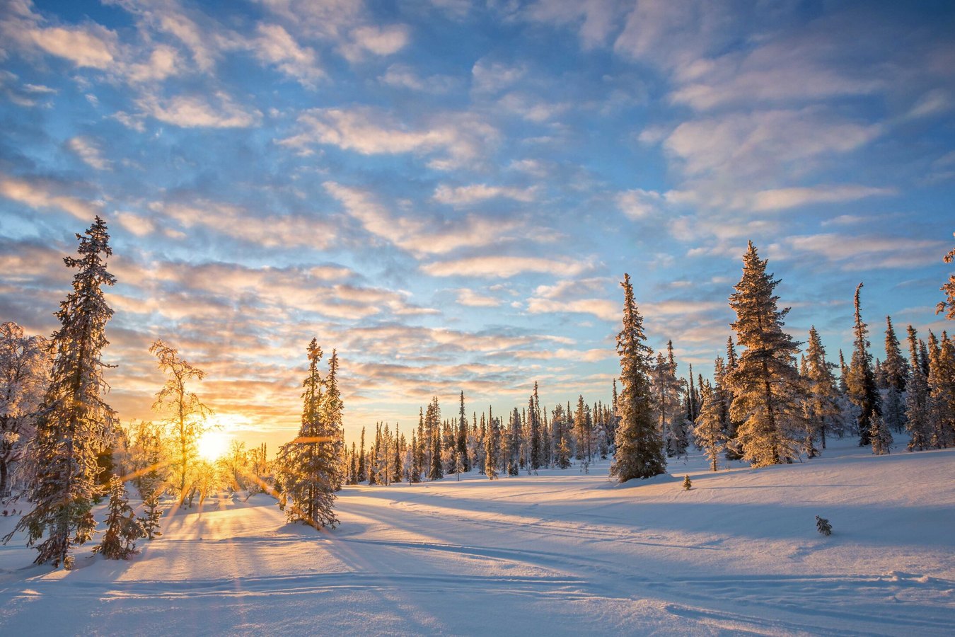 Winter-Abenteuer Lappland: Skandinaviens weiße Wunderwelt